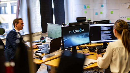 Diadrom Press 1