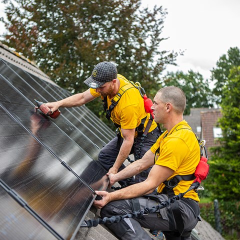 Soltech's Dutch subsidiary 365zon wins new solar projects with an order value of SEK 55 million